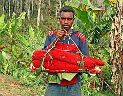 jongere brengt buah merah naar huis