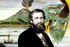 bioloog Alfred Russel Wallace