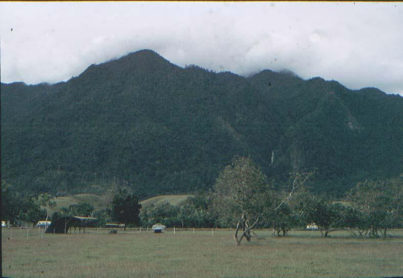 BD/37/119 - 
bridge at Sentani: a force of nature 1
