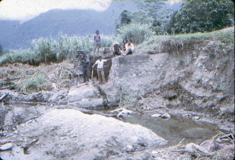 BD/37/120 - 
bridge at Sentani: force of nature 2
