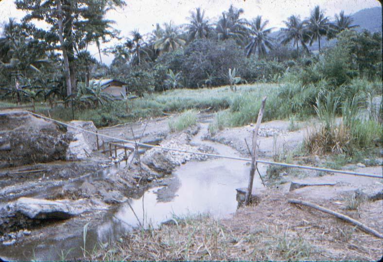 BD/37/121 - 
bridge at Sentani: force of nature 3
