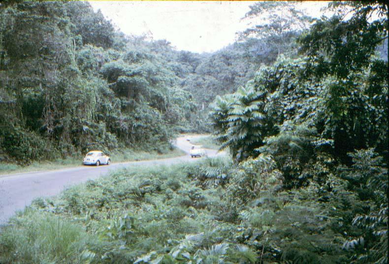 BD/37/130 - 
De weg naar Sentani
