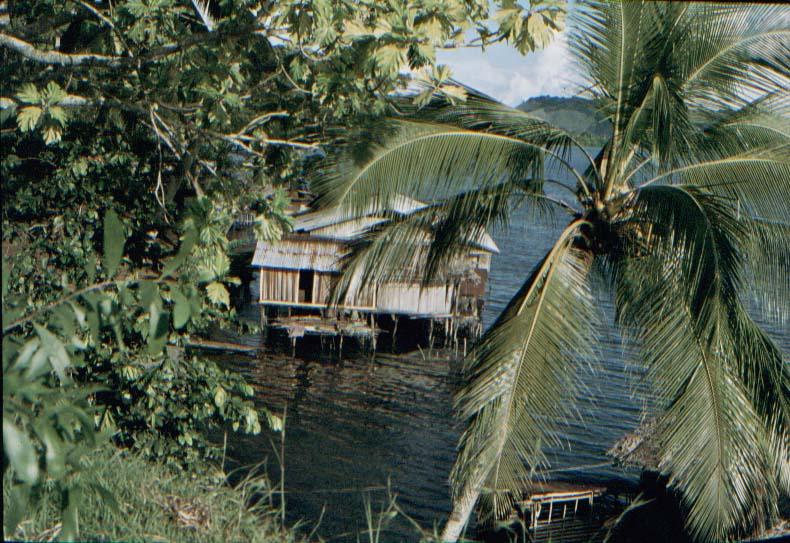 BD/37/147 - 
Hut construction: Sentani 3
