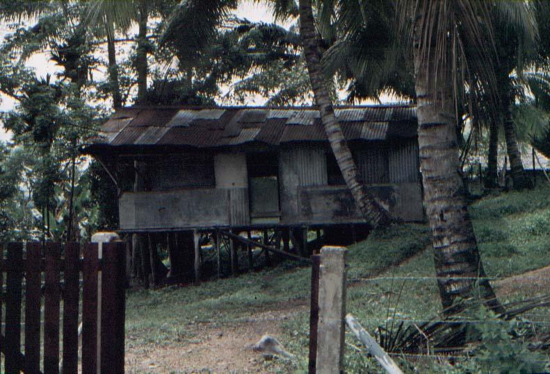 BD/37/165 - 
Huttenbouw: Sentani 
