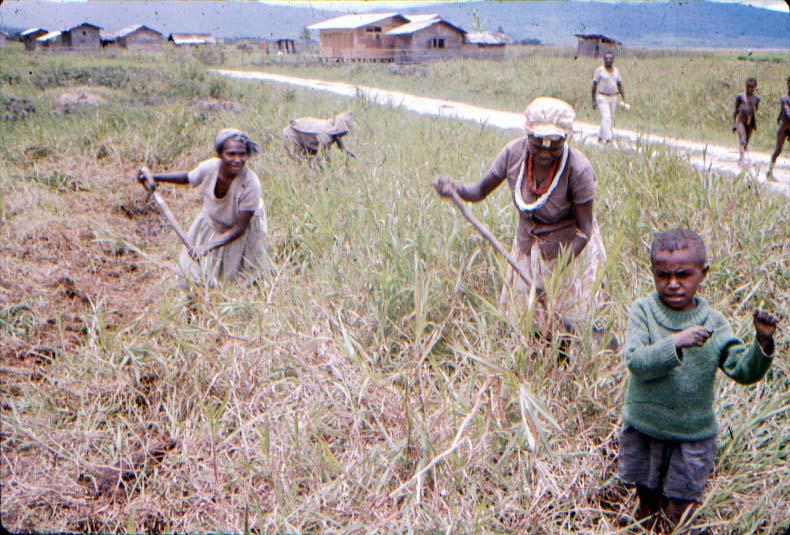 BD/37/205 - 
Waghete: women&#039;s work
