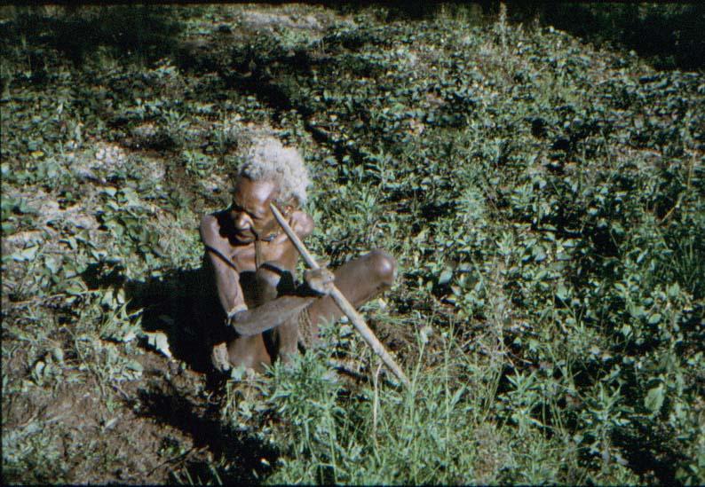 BD/37/206 - 
Baliem: women&#039;s work
