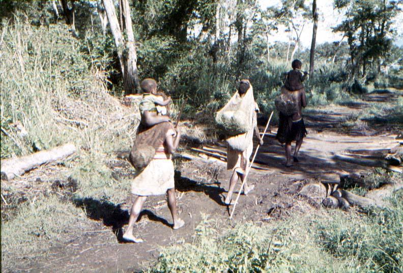 BD/37/210 - 
Wamena: towards the market 2
