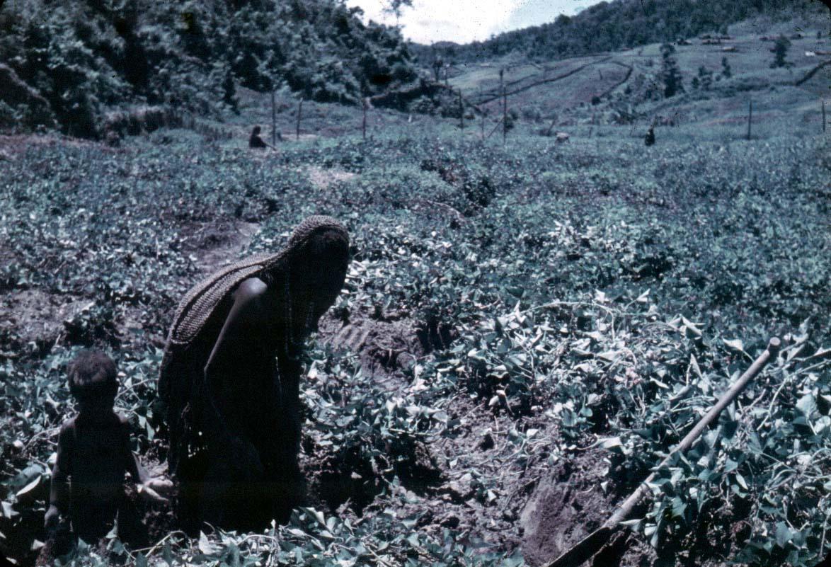 BD/24/22 - 
Image of (Notta-) garden in the foreground with a woman with carrying-net and child.
