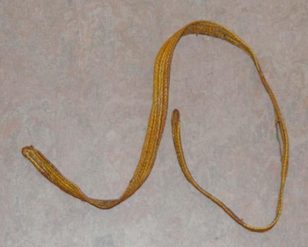 EA/41/37 - 
string of a penis gourd
