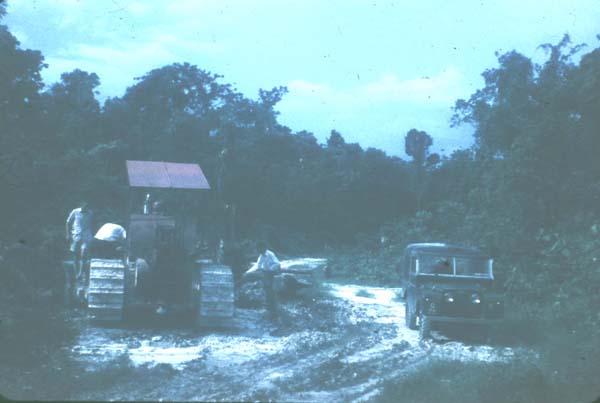 BD/67/77 - 
Biak
