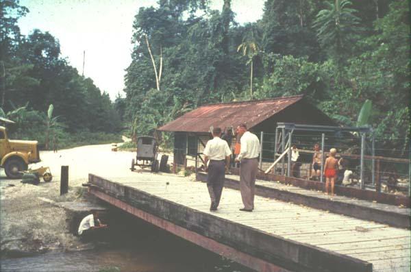 BD/67/83 - 
Biak
