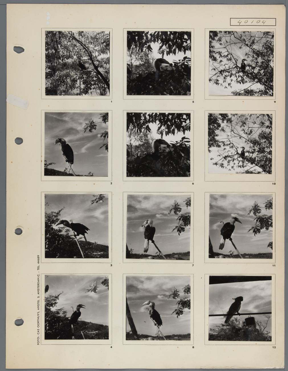 BD/163/83 - 
Papua (Hollandia?)
