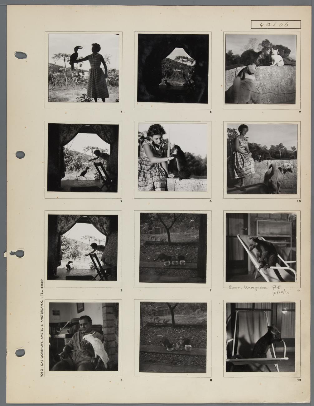 BD/163/85 - 
Dieren Papua (Hollandia?)
