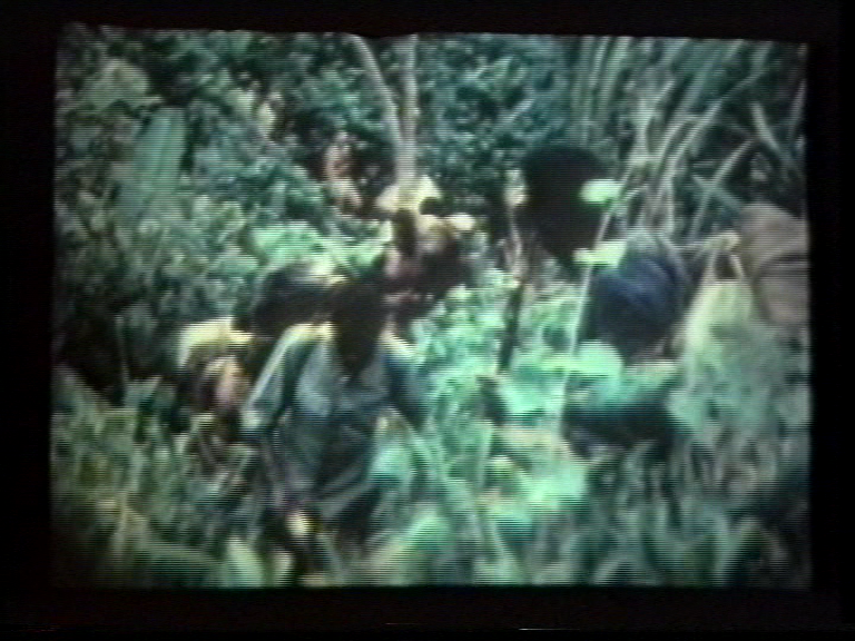 FI/1200/33 - 
Gourd Men of New Guinea, The
