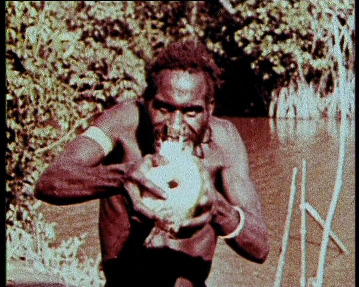 FI/1200/48 -
Panorama Nederlands Nieuw-Guinea