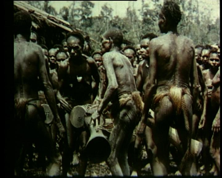 FI/1200/49 -
De ontwikkeling van Nederlands Nieuw-Guinea
