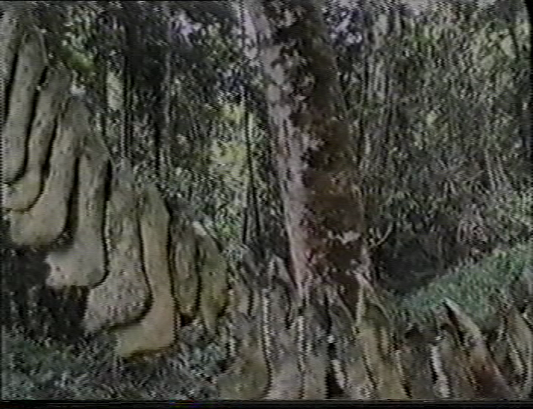 FI/1200/53 -
The Lost Valley