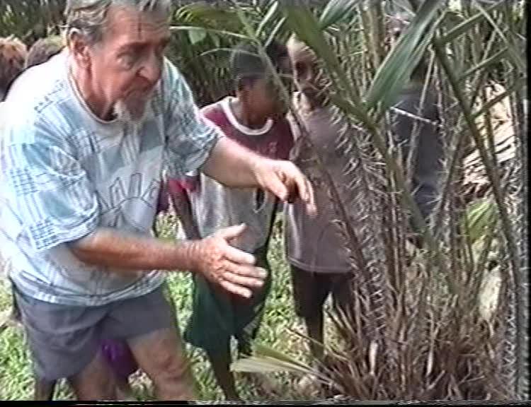 FI/1200/126 - 
Papuans between yesterday and tomorrow
