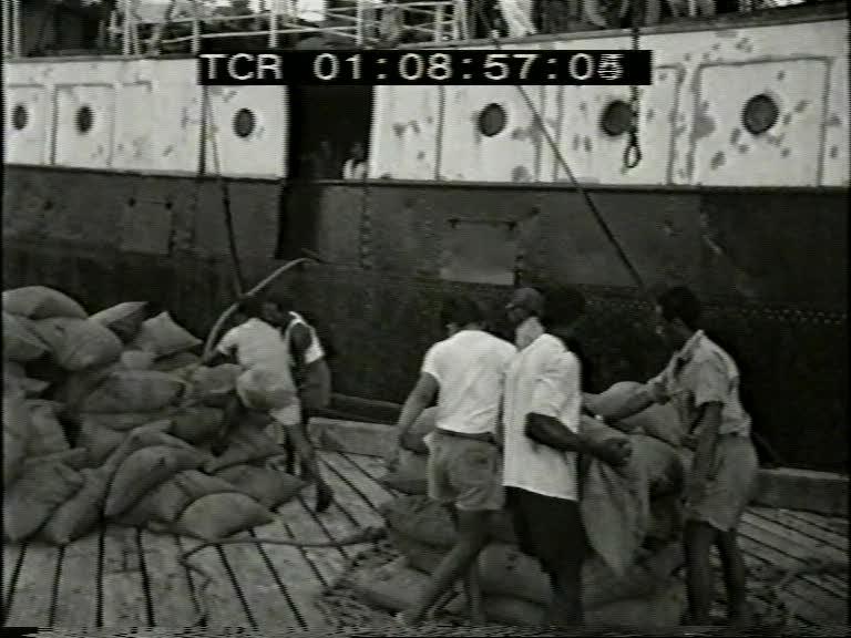 FI/1200/159 -
Nieuw-Guinea Kroniek 16: De bosexploitatie