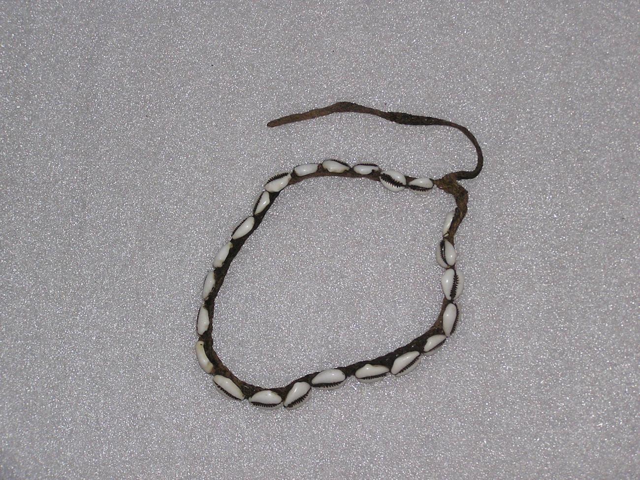 EA/142/6 - 
schelpenband
