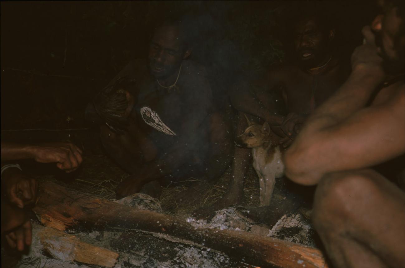 BD/166/105 - 
Dog on wood fire

