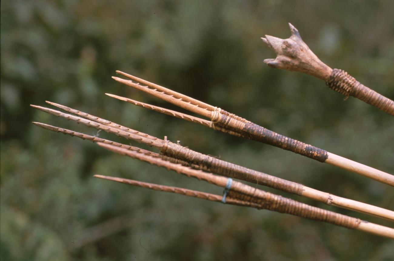 BD/166/10 - 
Close-up of traditional arrowheads
