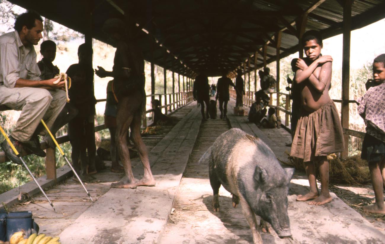BD/166/217 - 
Pig on a roofed bridge
