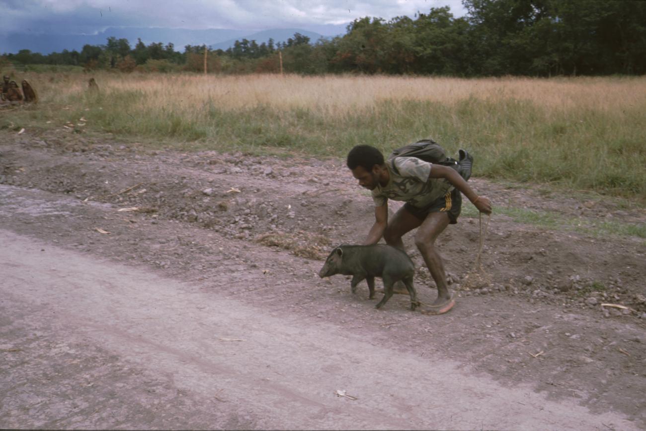 BD/166/233 - 
Walking with a pig
