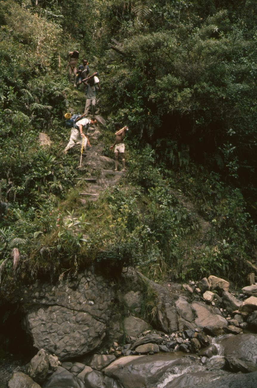 BD/166/327 - 
Expedition climbing down

