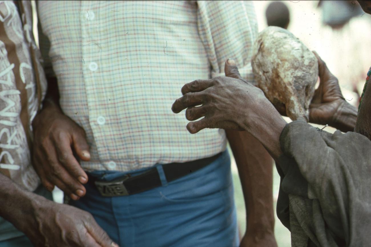 BD/166/337 - 
Person with cassowary Skull in hand
