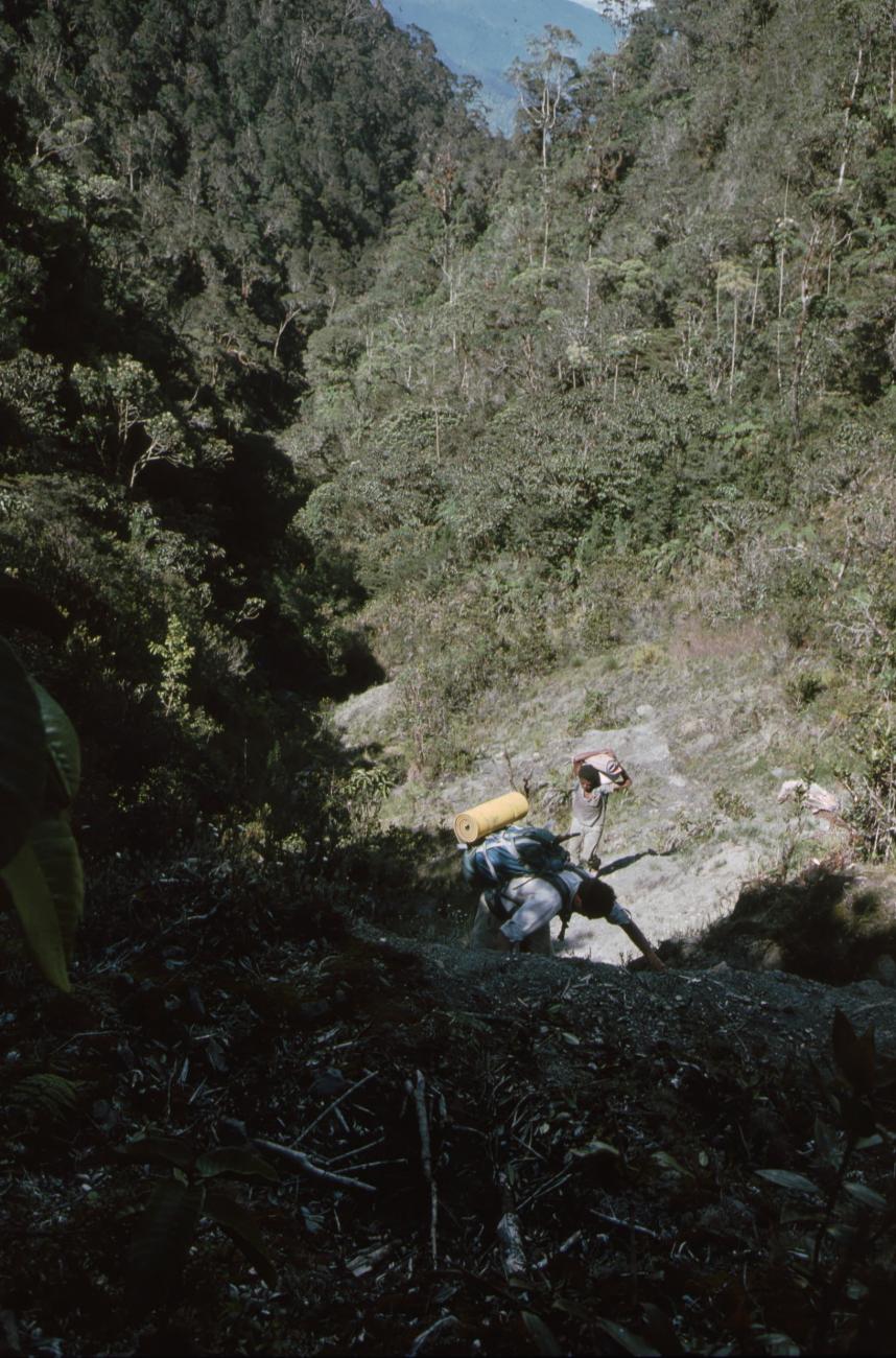 BD/166/338 - 
Climbing
