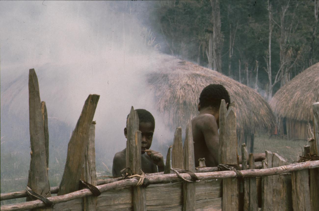 BD/166/352 - 
Hut under smoke
