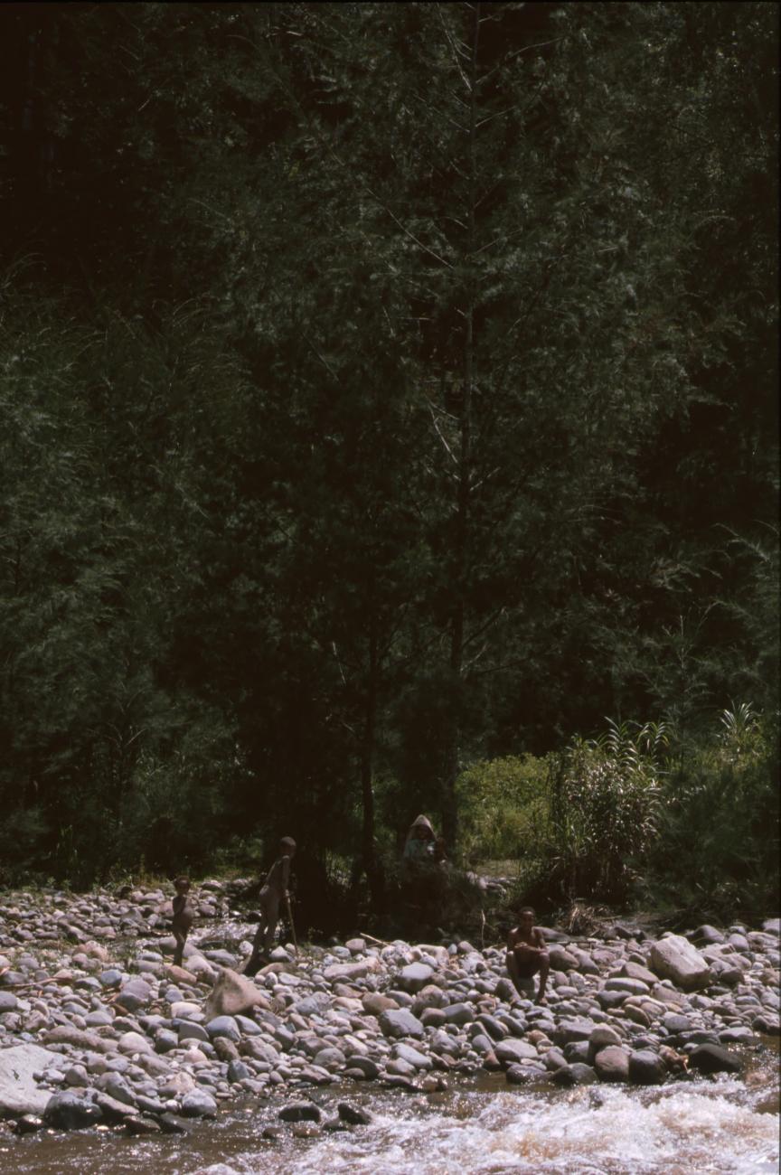 BD/166/366 - 
At the boulders along the river
