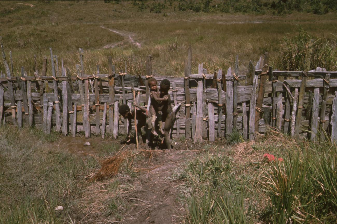 BD/166/375 - 
Wattle fence
