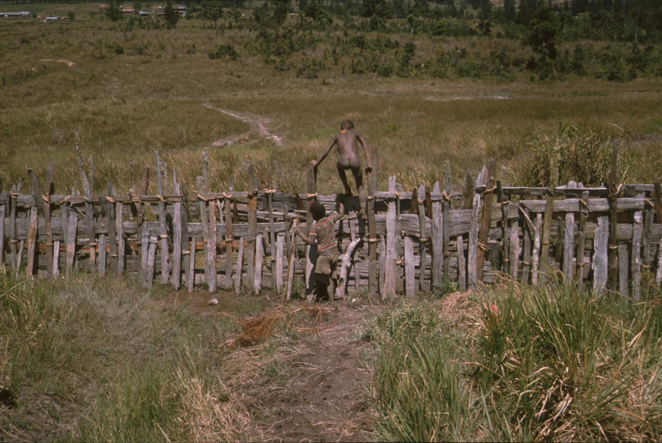 BD/166/375 - 
Wattle fence
