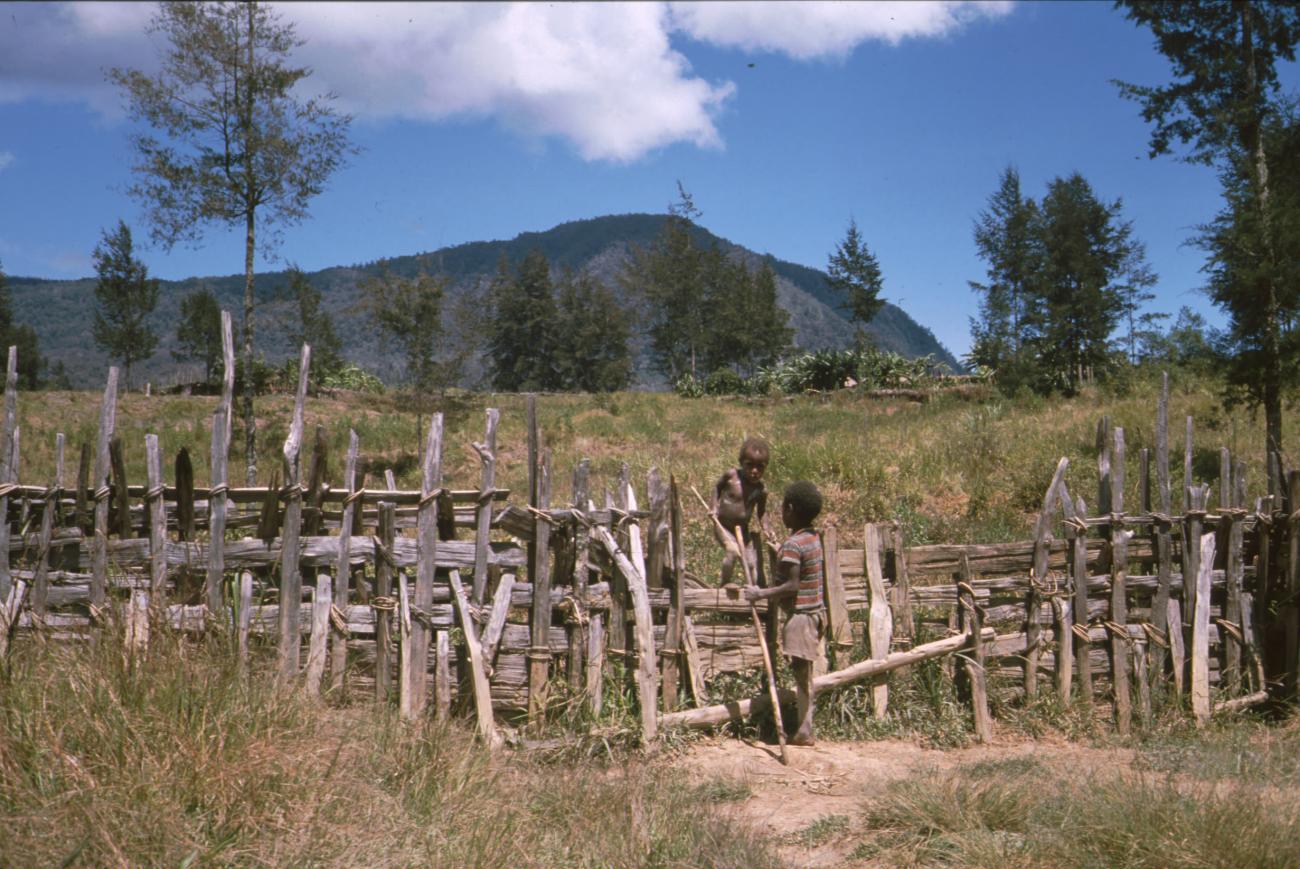 BD/166/375 - 
Wattle fence
