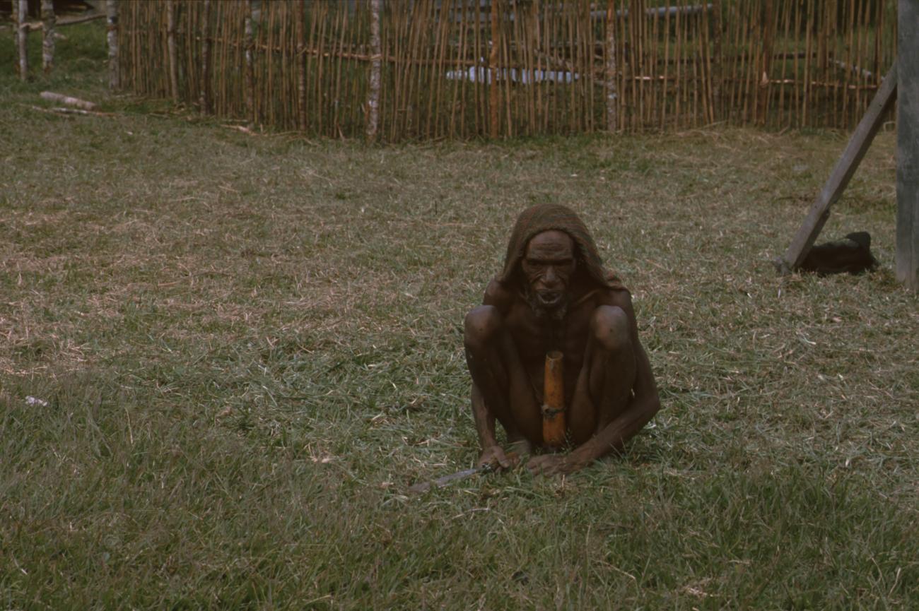 BD/166/377 - 
Papua man is cutting his grass in a squating position
