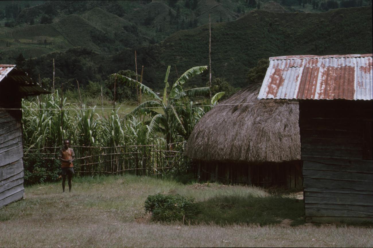 BD/166/378 - 
Small houses made of grass and CGI
