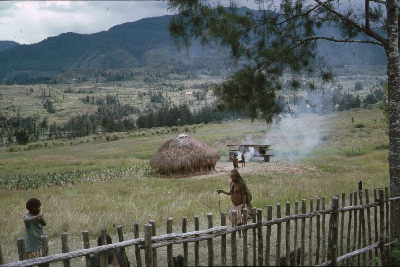 BD/166/387 - 
Grass hut with fireplace
