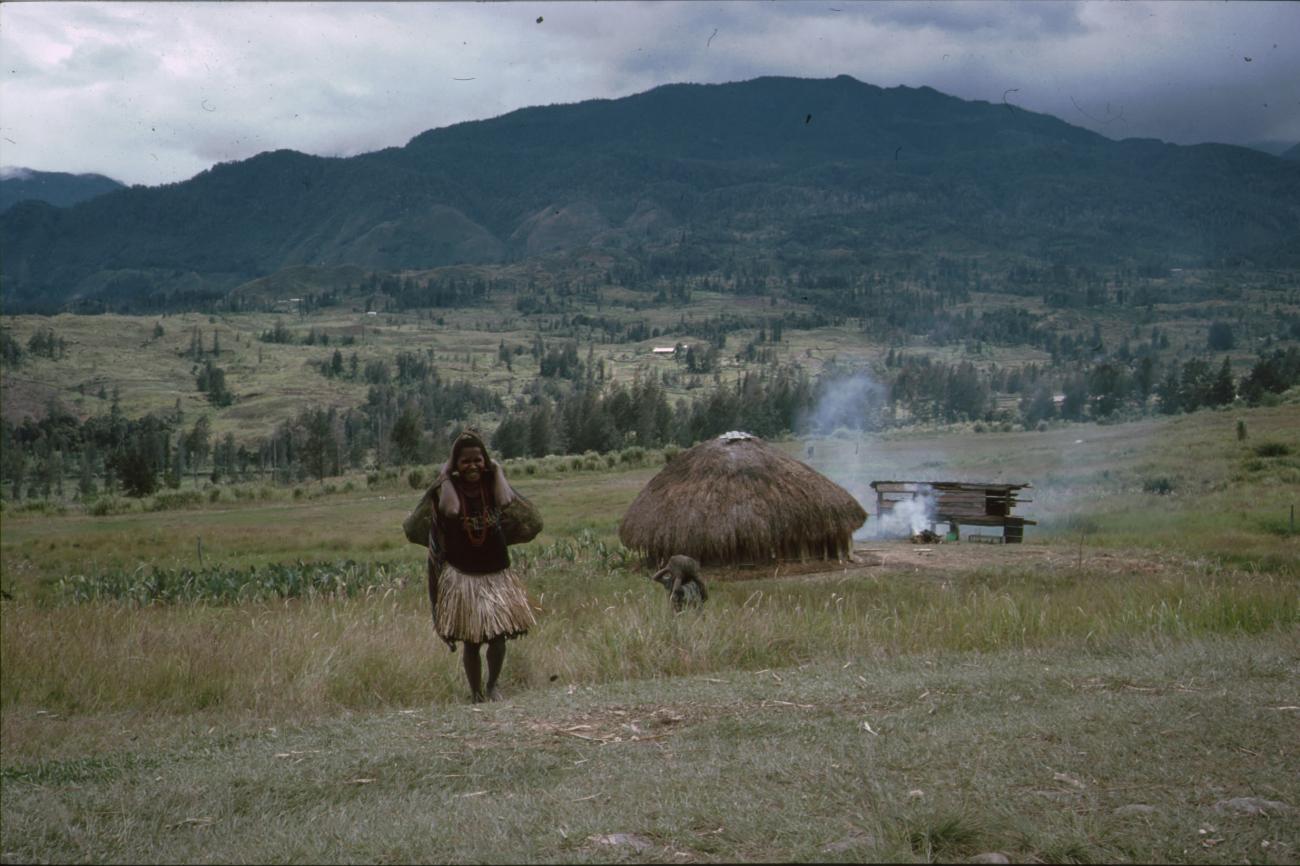 BD/166/405 -
View on the valley with hut and woman