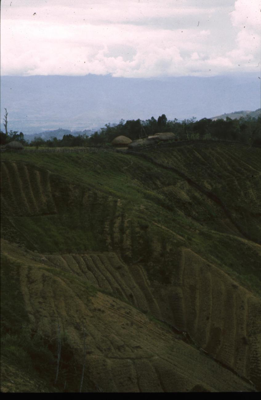 BD/166/413 -
In vakken verdeeld landschap