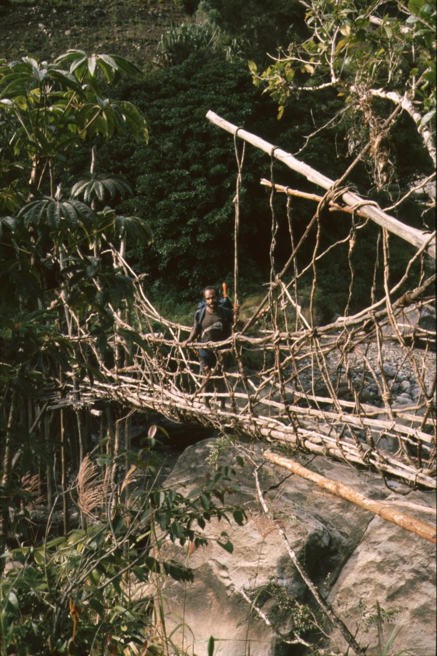 BD/166/425 - 
Suspension bridge over the river
