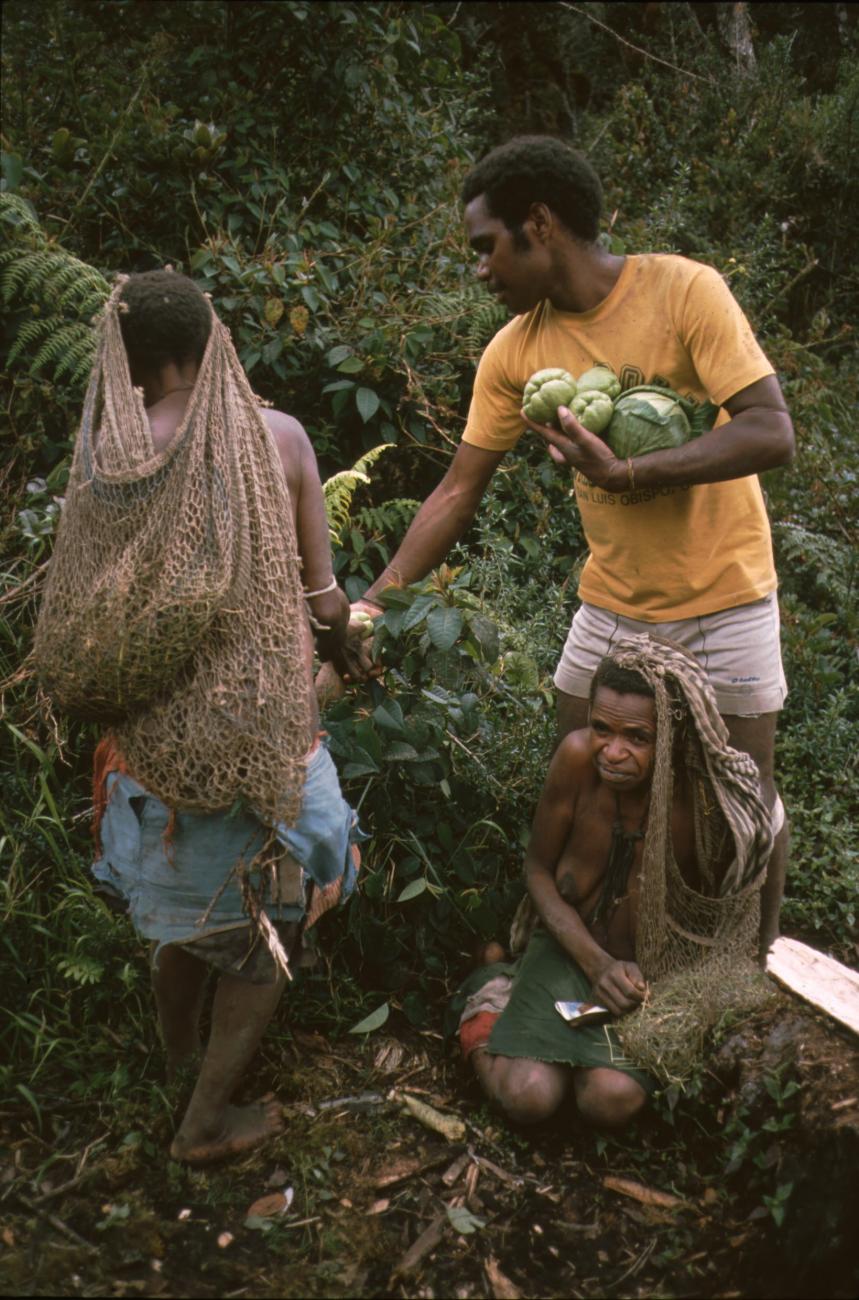 BD/166/92 -
Collecting food