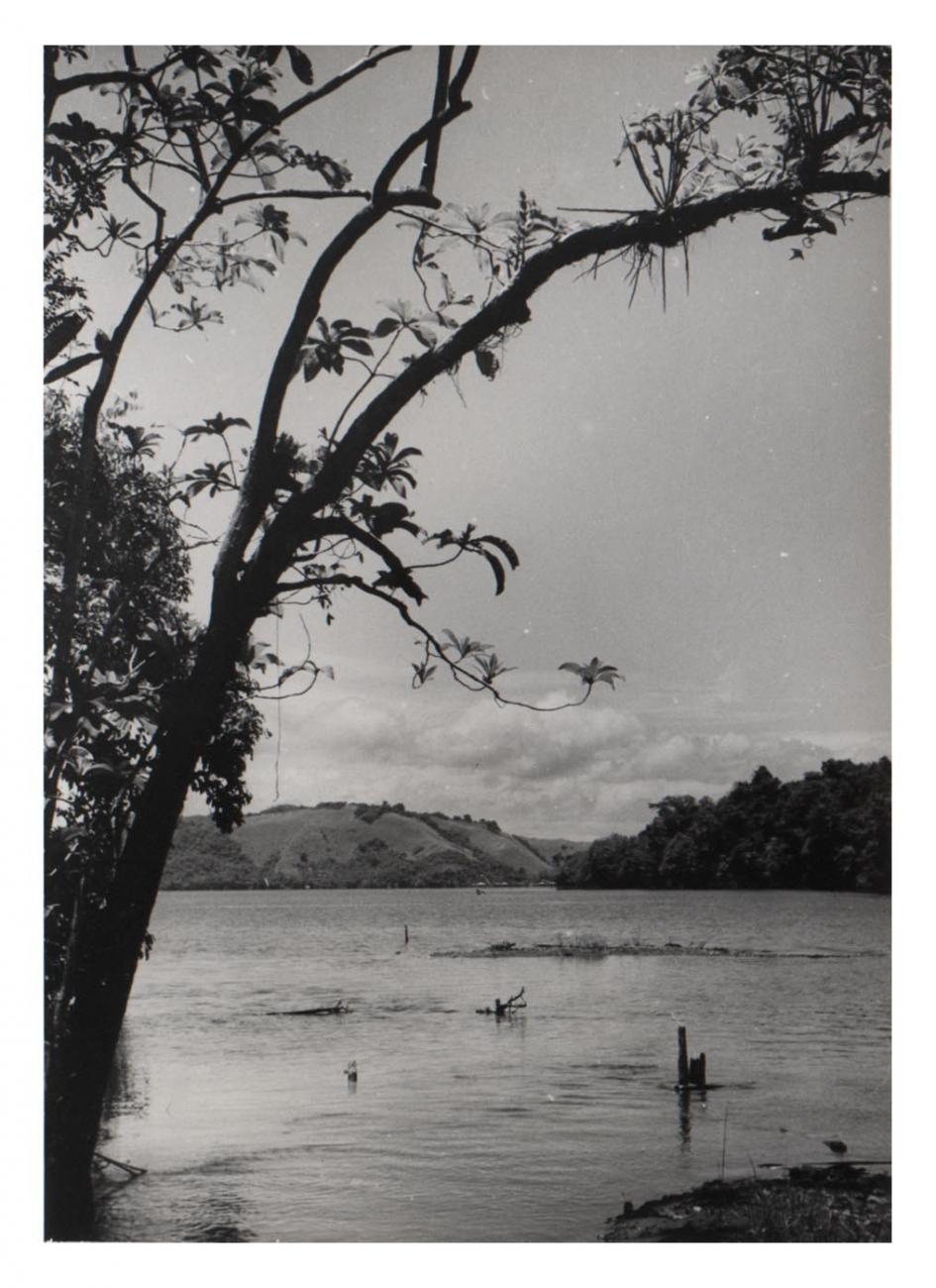BD/54/1 - 
lake Sentani
