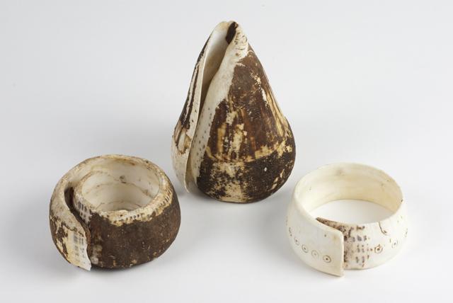 EA/201/9 - 
Bracelet of Cone Shell
