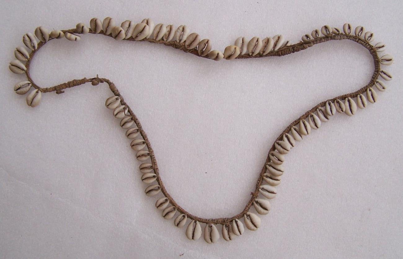EA/174/64 - 
schelpenketting  
