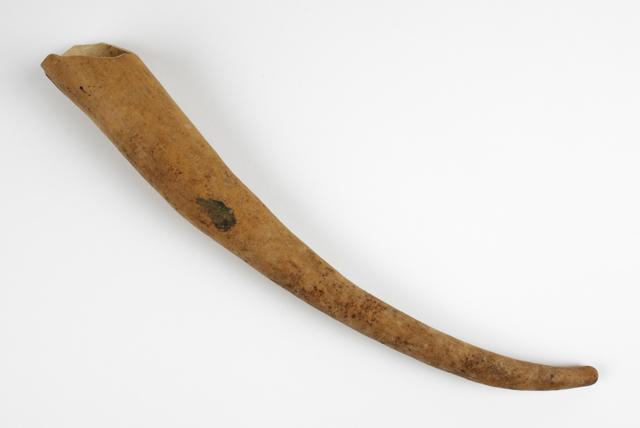 EA/260/10 -
penis gourd