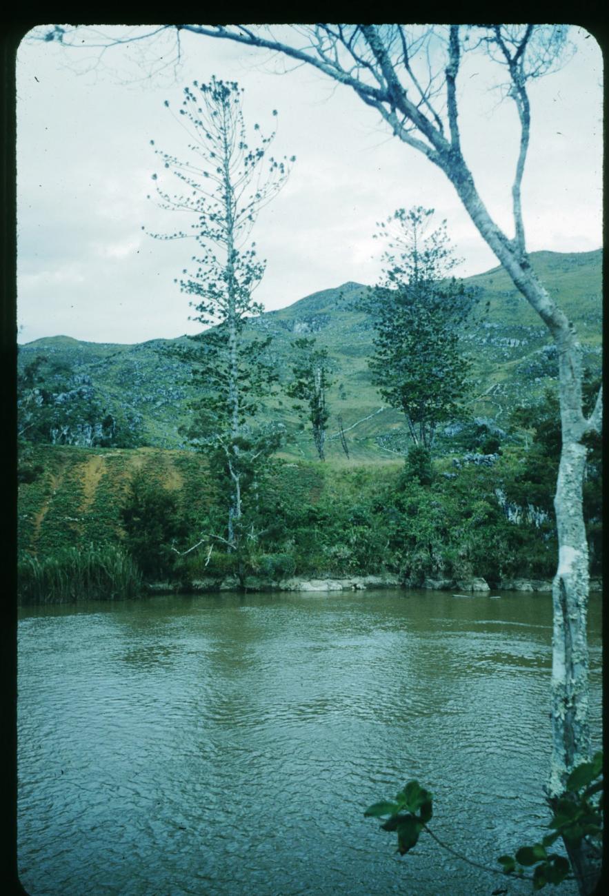 BD/209/1061 -
Rivier