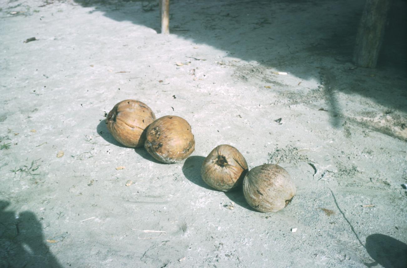BD/209/4011 - 
Cocosnoten
