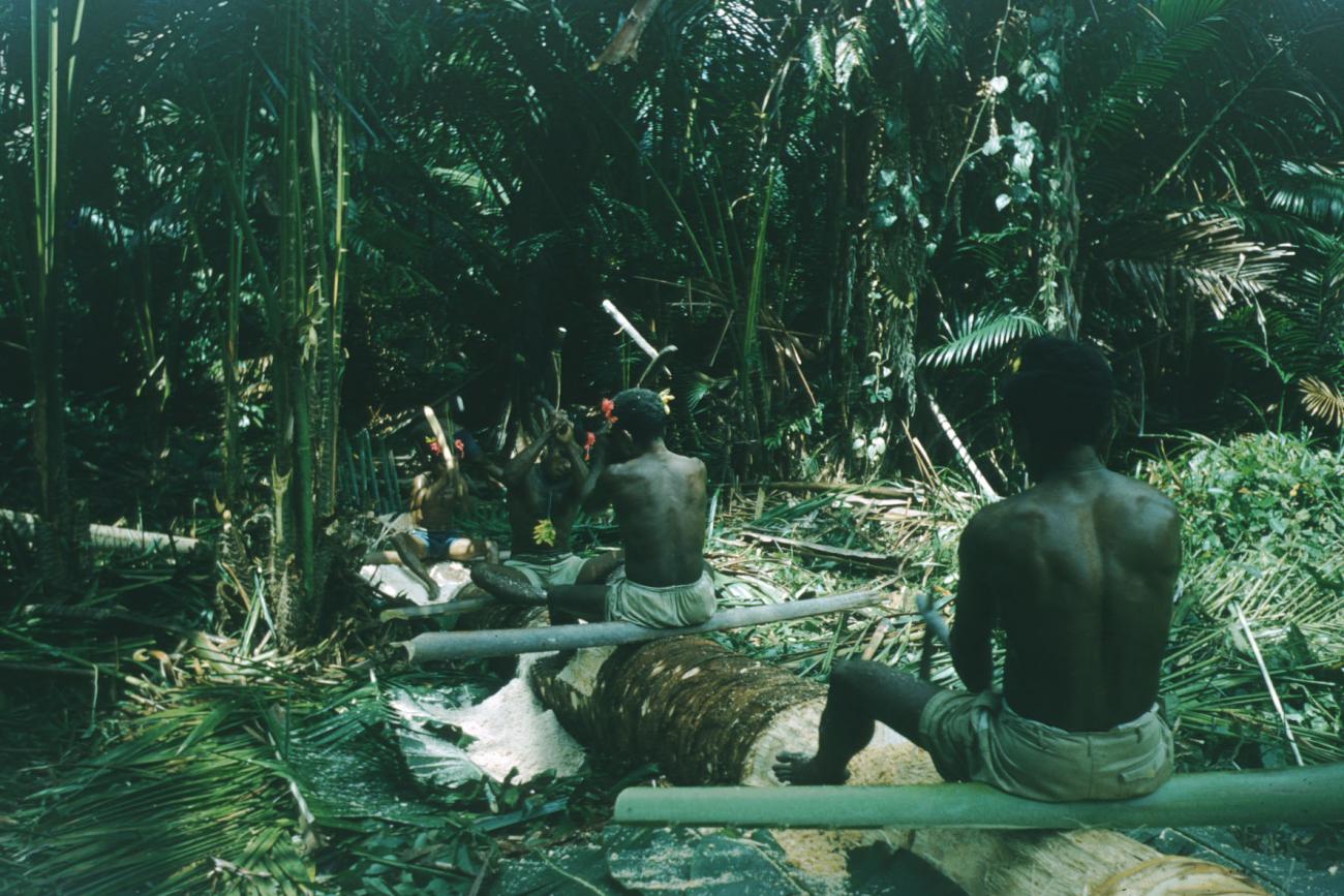 BD/209/4068 - 
Sago-cultures
